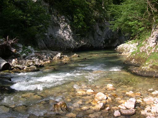DSCN9712