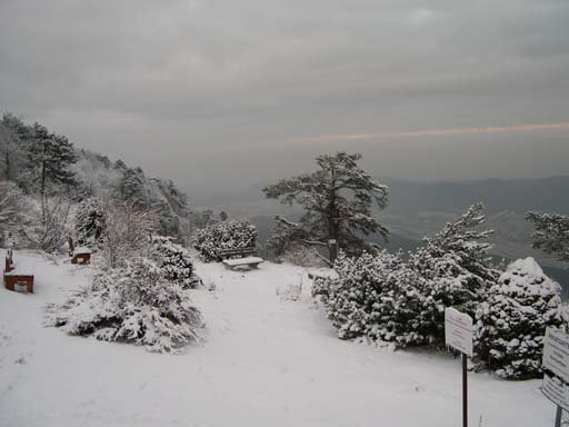 DSCN3622