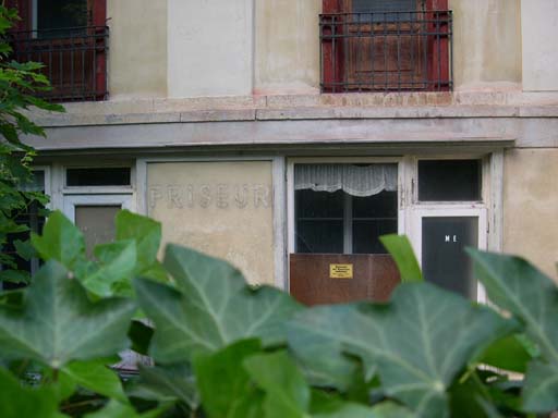 DSCN6416