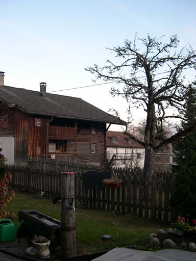 DSCN6070