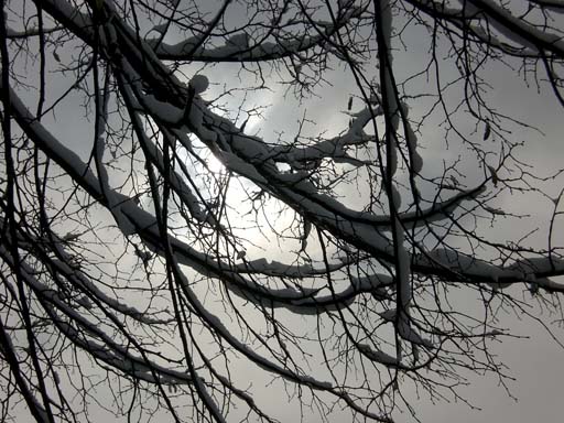 Bild 192