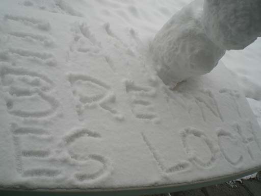 Bild 193