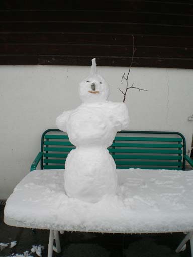 Bild 195