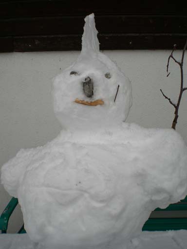 Bild 197