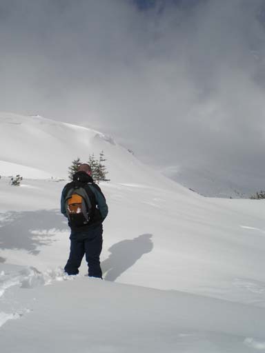 Bild 215