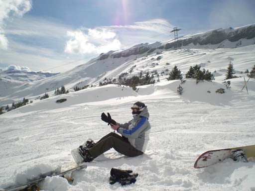 Bild 217