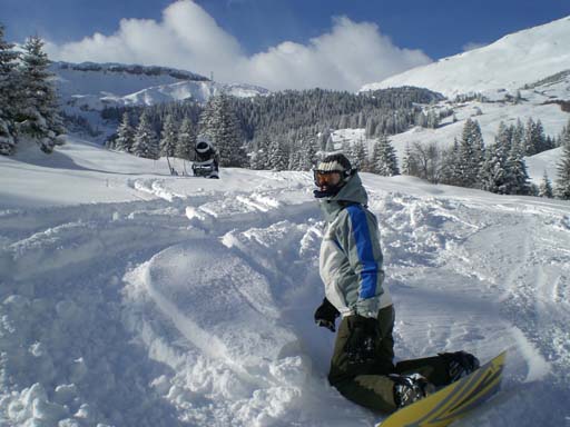 Bild 229