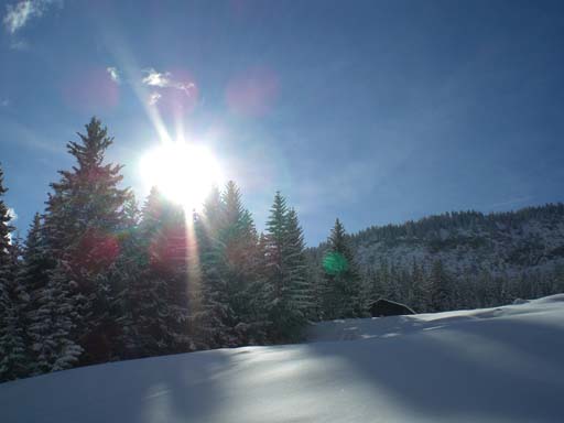 Bild 231