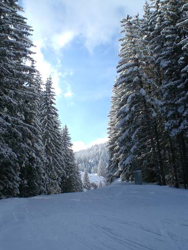 Bild 234
