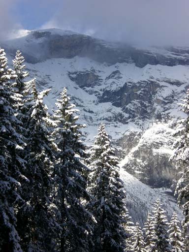 Bild 236