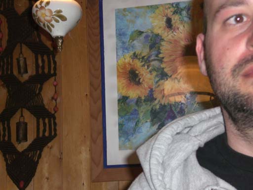 Bild 282