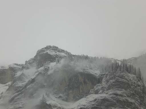 Bild 305