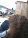 Bild 110