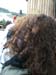 Bild 111