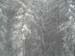 Bild 146
