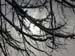 Bild 192