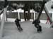 Bild 203