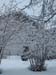 DSCN1358