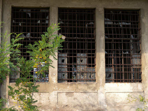 DSCN0623
