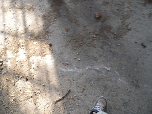 DSCN0663