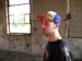DSCN0664