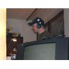 DSCN4592.jpg [27 KB]
