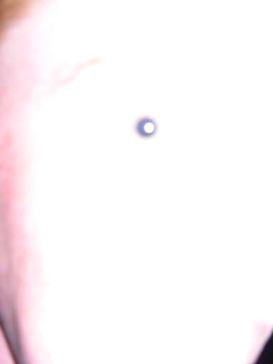 DSCN8389