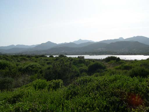 DSCN3217