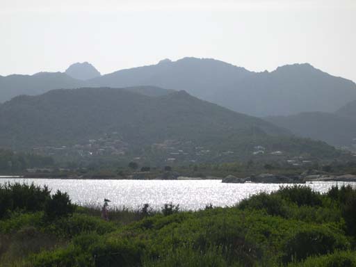 DSCN3219