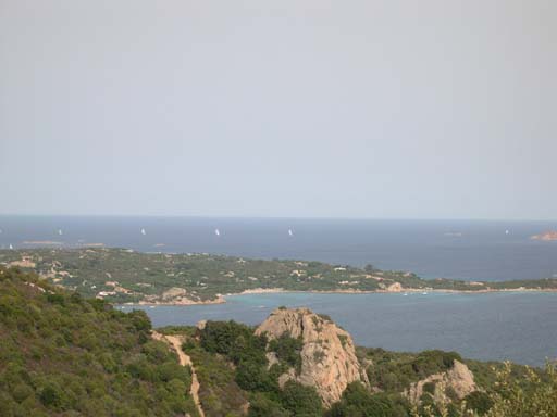 DSCN3233