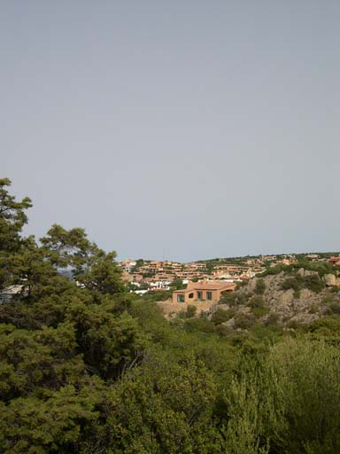 DSCN3242
