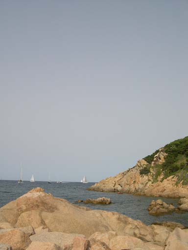 DSCN3248