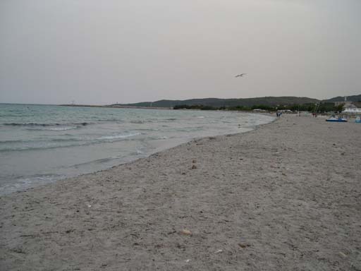 DSCN3274