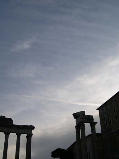 DSCN3317