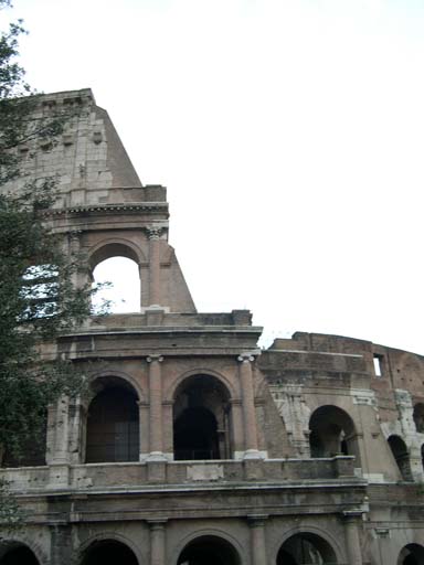 DSCN3335