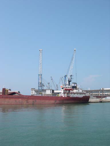 DSCN6589