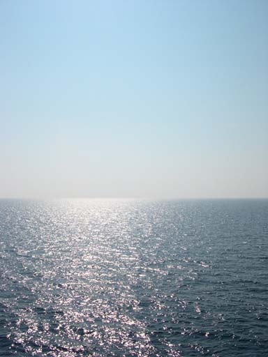 DSCN6620