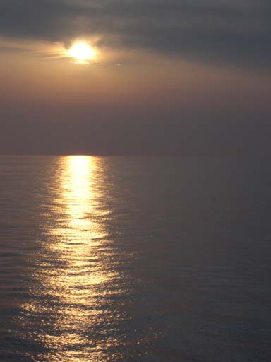 DSCN6636