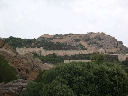 DSCN6661