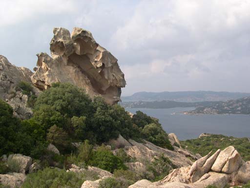 DSCN6663
