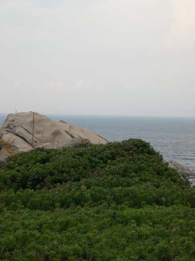 DSCN6676