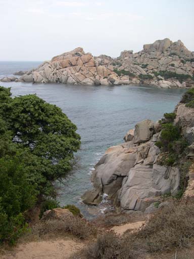 DSCN6678