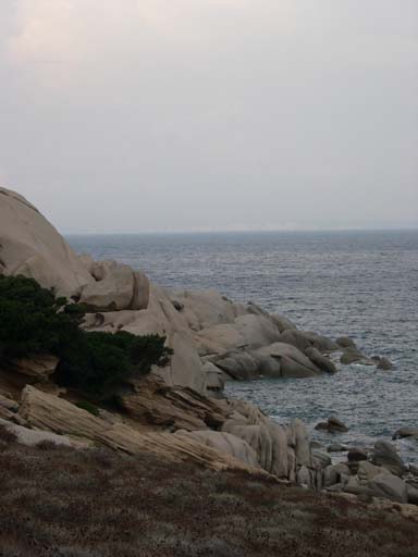 DSCN6683
