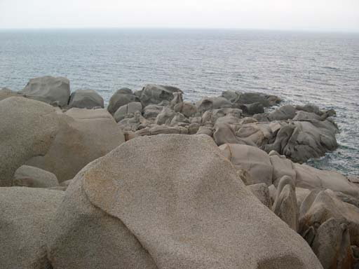 DSCN6722