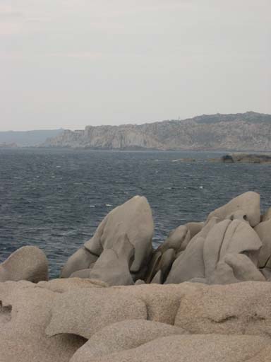 DSCN6731