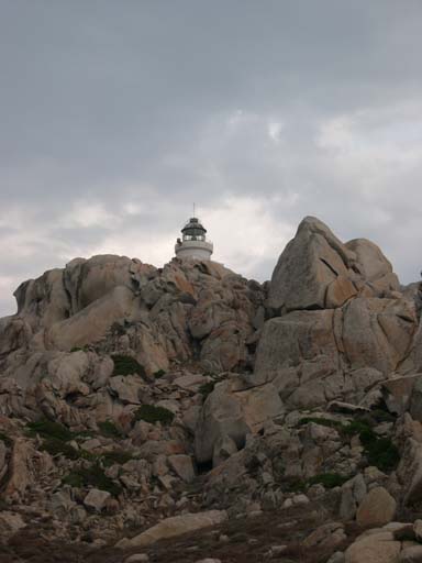 DSCN6756