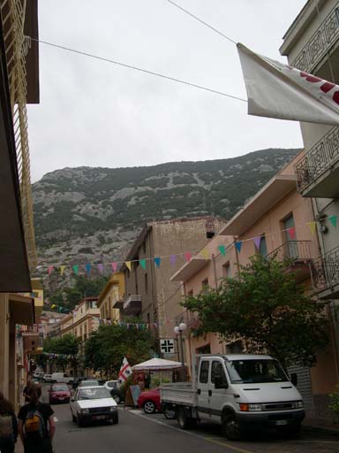 DSCN6787