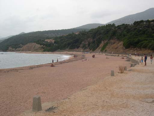 DSCN6790