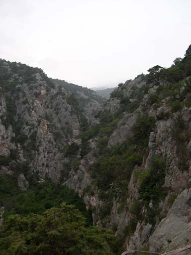 DSCN6816