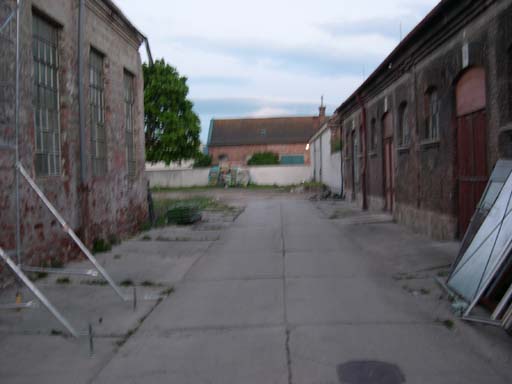 DSCN6268